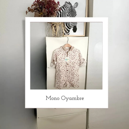 Mono Oyambre